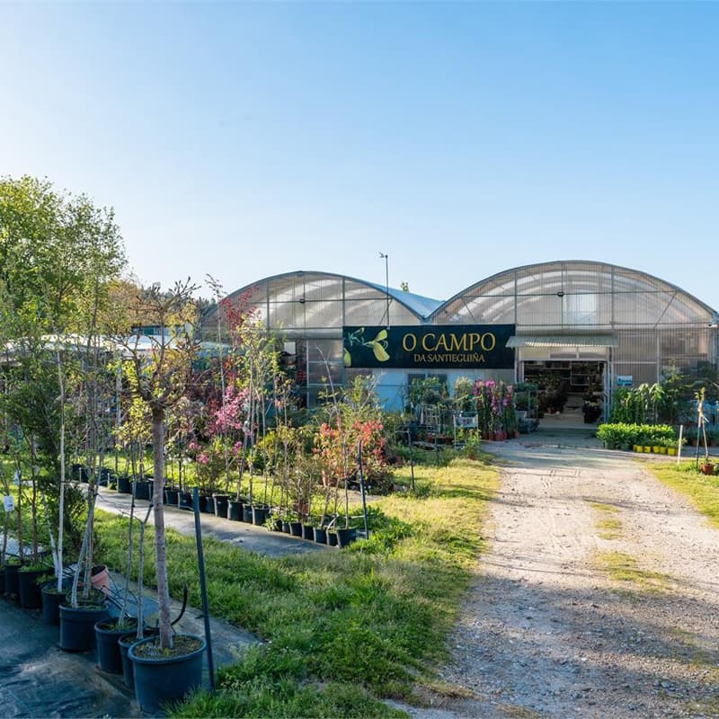 Visita nuestro vivero de plantas en Pontevedra
