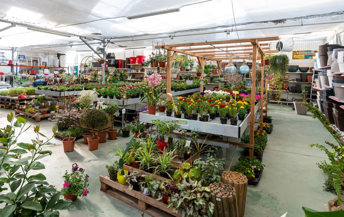 O Campo da Santieguiña, vivero de plantas en Pontevedra