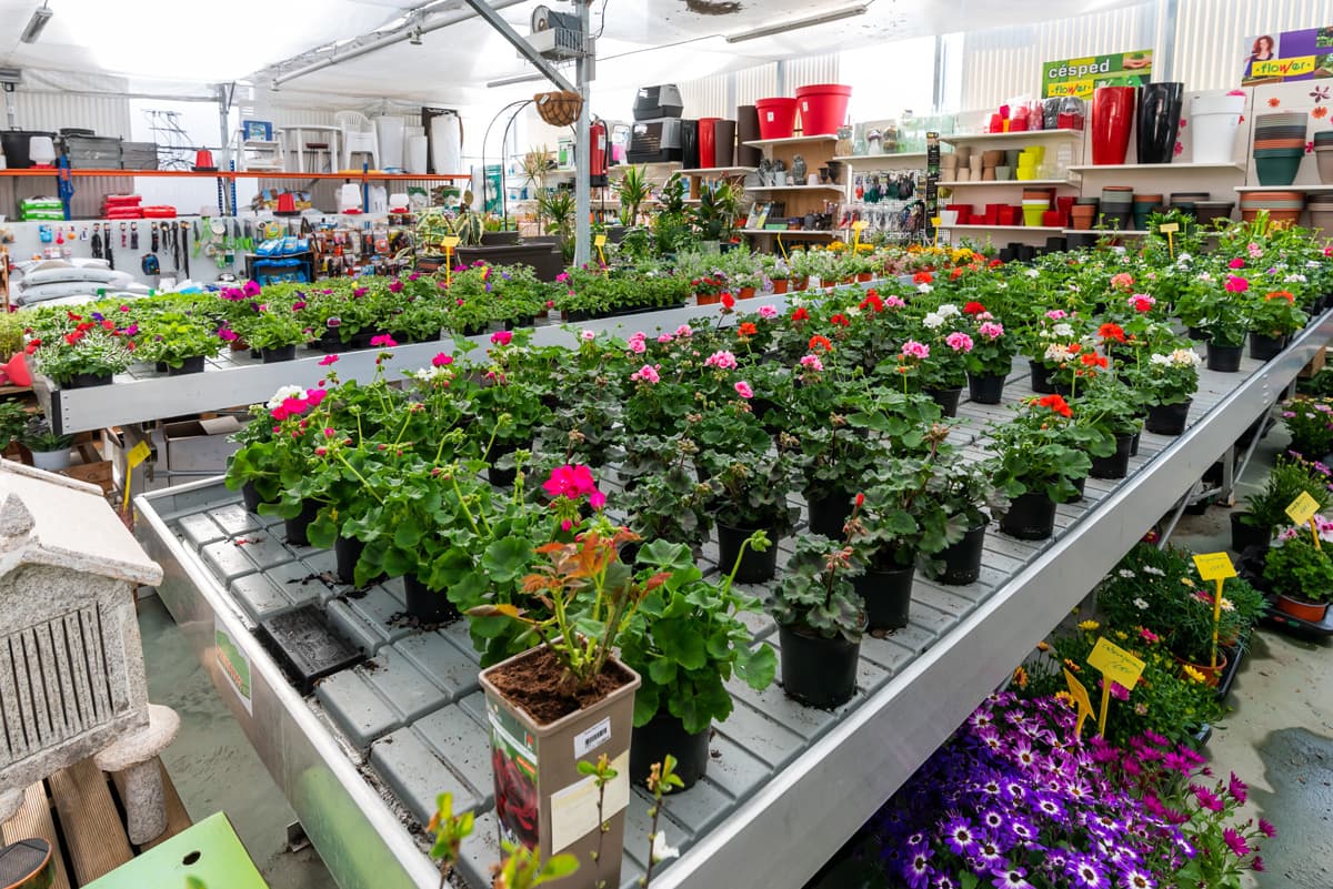 O Campo da Santieguiña, vivero de plantas en Pontevedra