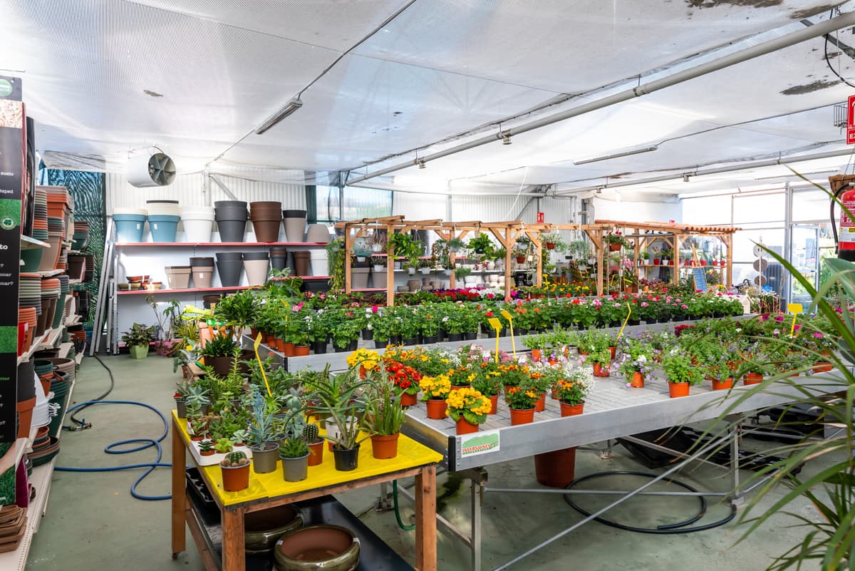 O Campo da Santieguiña, vivero de plantas en Pontevedra