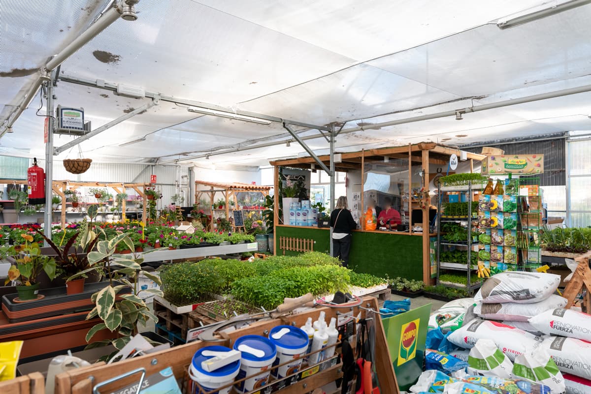 O Campo da Santieguiña, vivero de plantas en Pontevedra