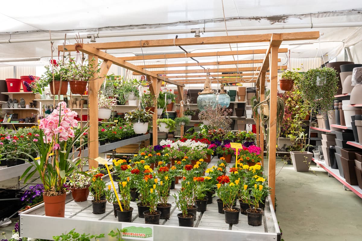 O Campo da Santieguiña, vivero de plantas en Pontevedra