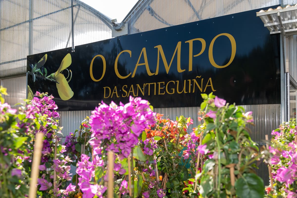 O Campo da Santieguiña, vivero de plantas en Pontevedra