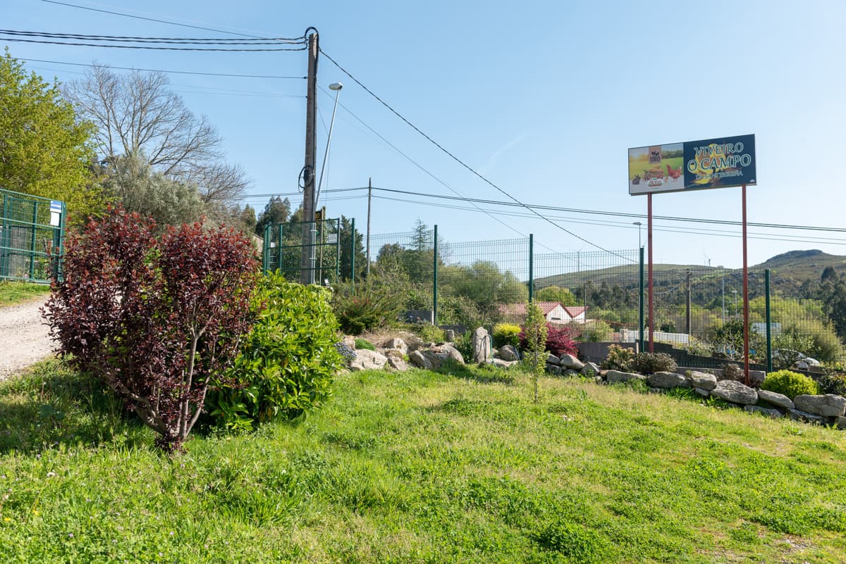 O Campo da Santieguiña, vivero de plantas en Pontevedra