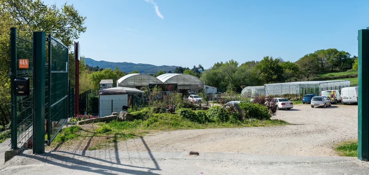 O Campo da Santieguiña, vivero de plantas en Pontevedra