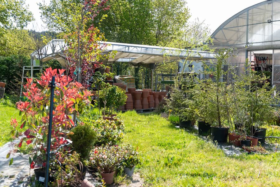 O Campo da Santieguiña, vivero de plantas en Pontevedra