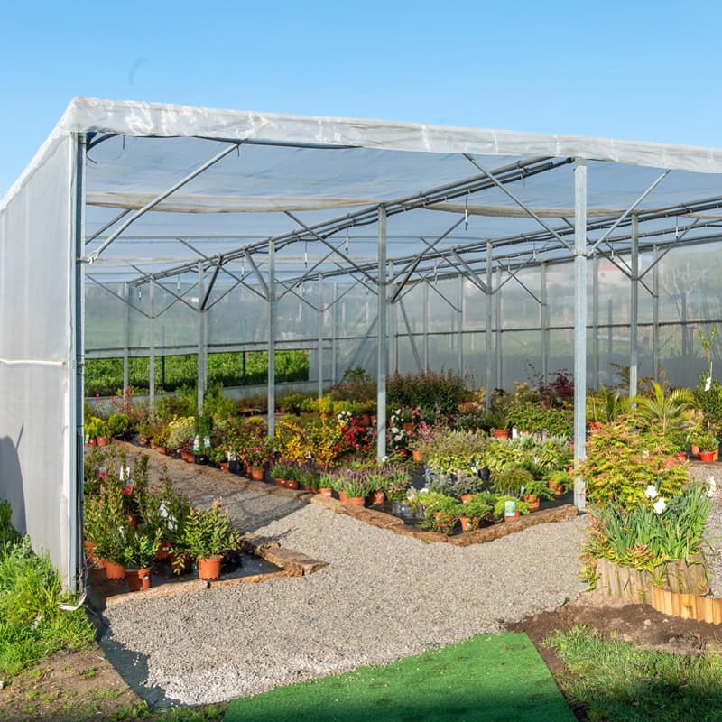 O Campo da Santieguiña, vivero de plantas en Pontevedra