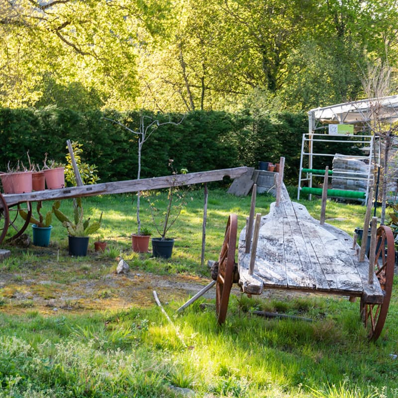 O Campo da Santieguiña, vivero de plantas en Pontevedra