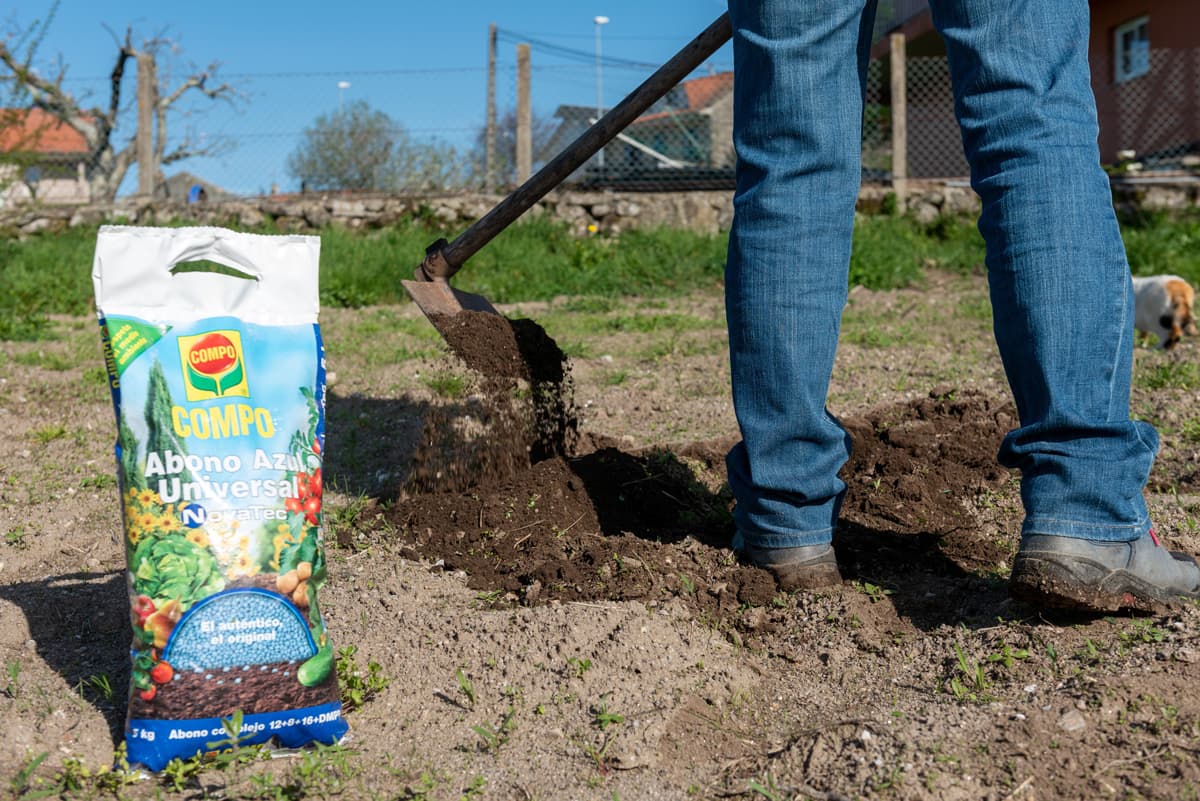 Productos para la conservación y mantenimiento de las plantas