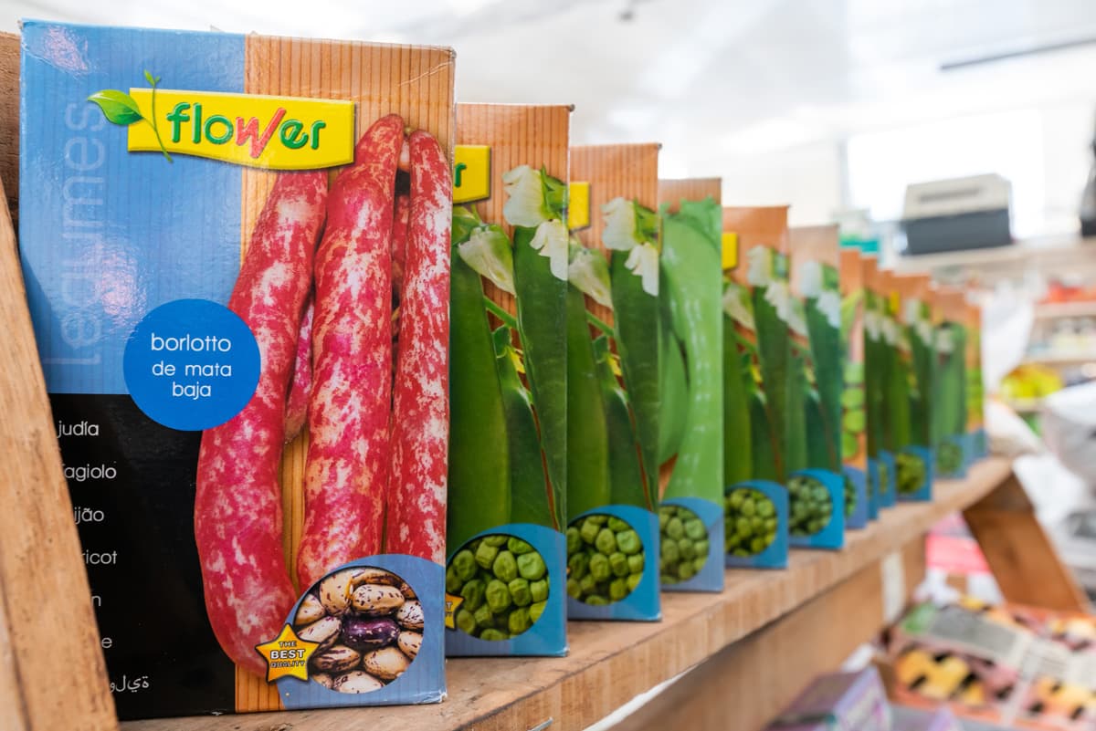 Servicios de O Campo da Santieguiña en Ponte Caldelas