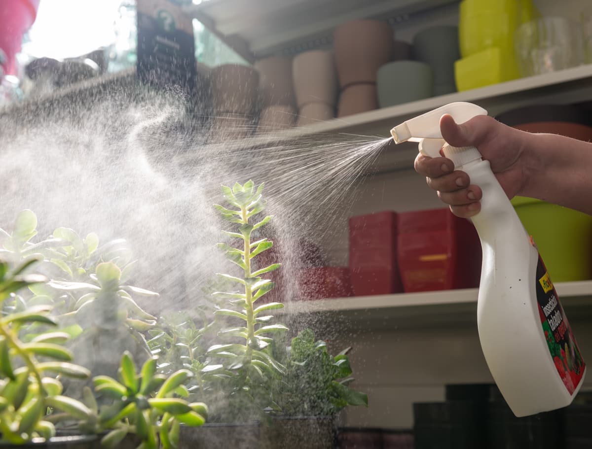 Semillas, abonos, pienso y mucho más