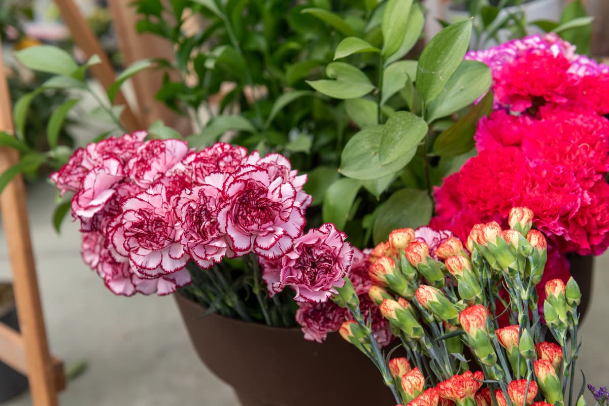 Tenemos el mejor surtido de flores frescas