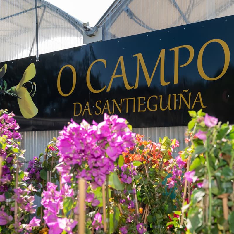 Tu vivero de plantas en Pontevedra con todo lo que necesitas