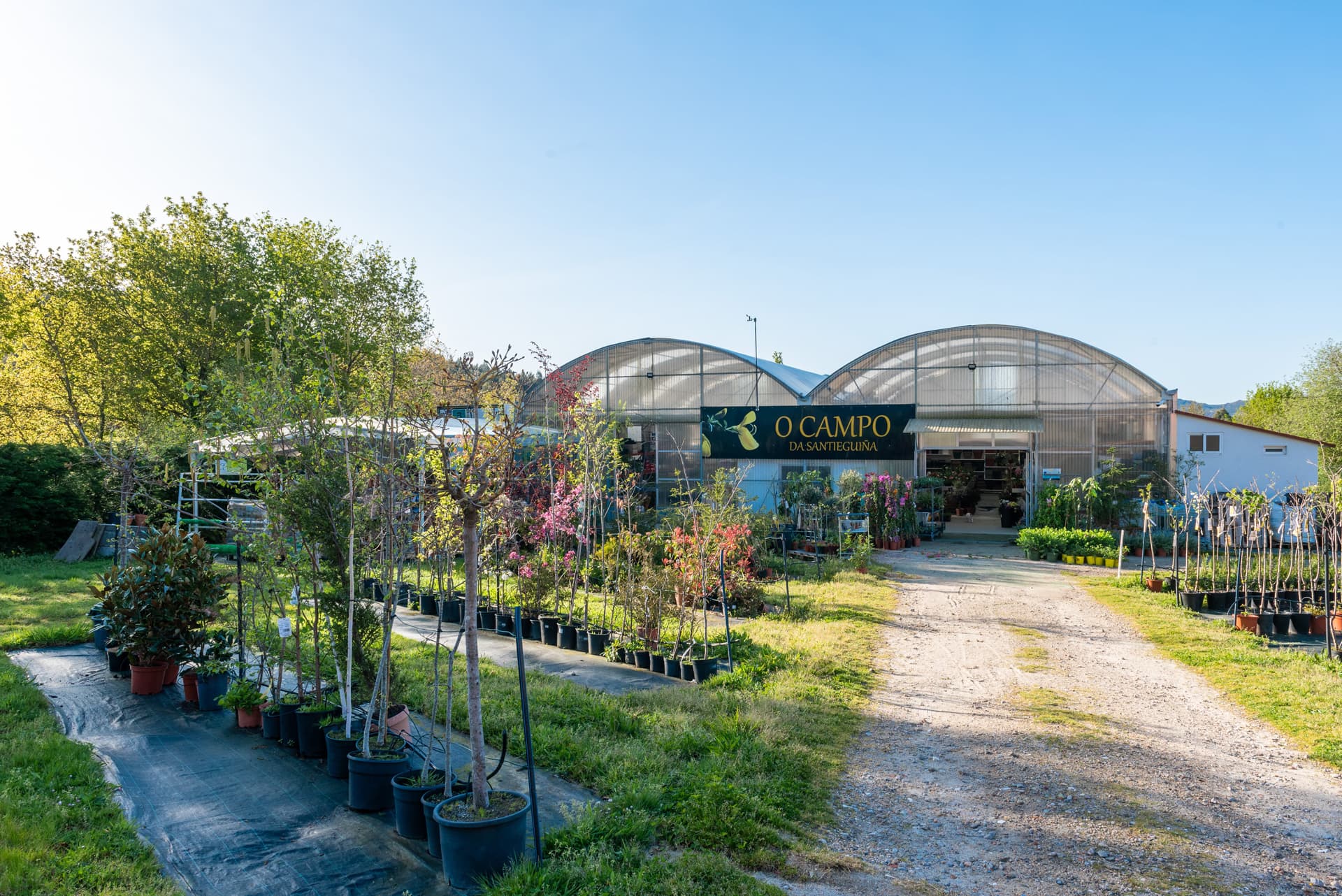 Tu vivero de plantas en Pontevedra